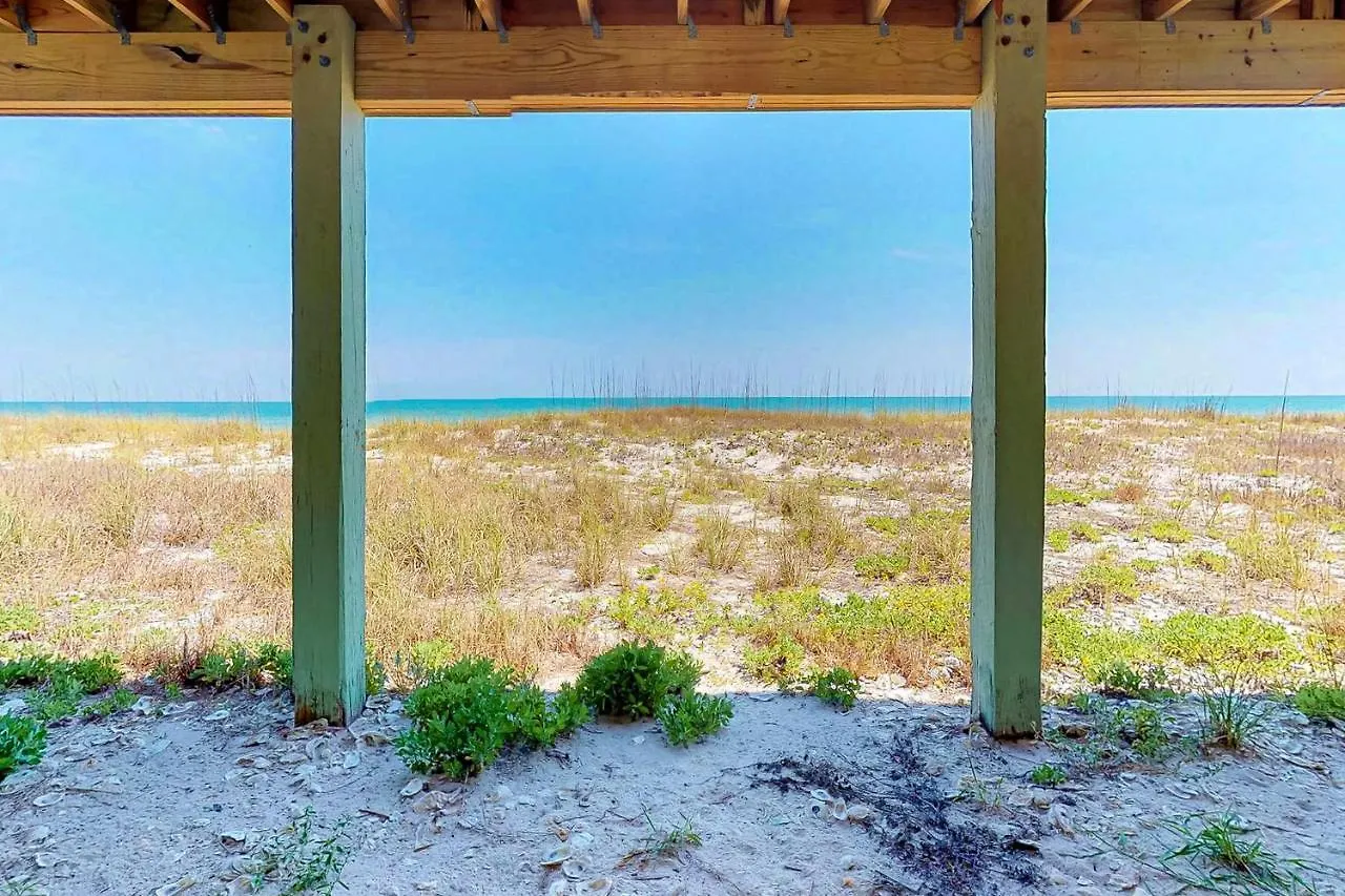 Driftwood St. George Island