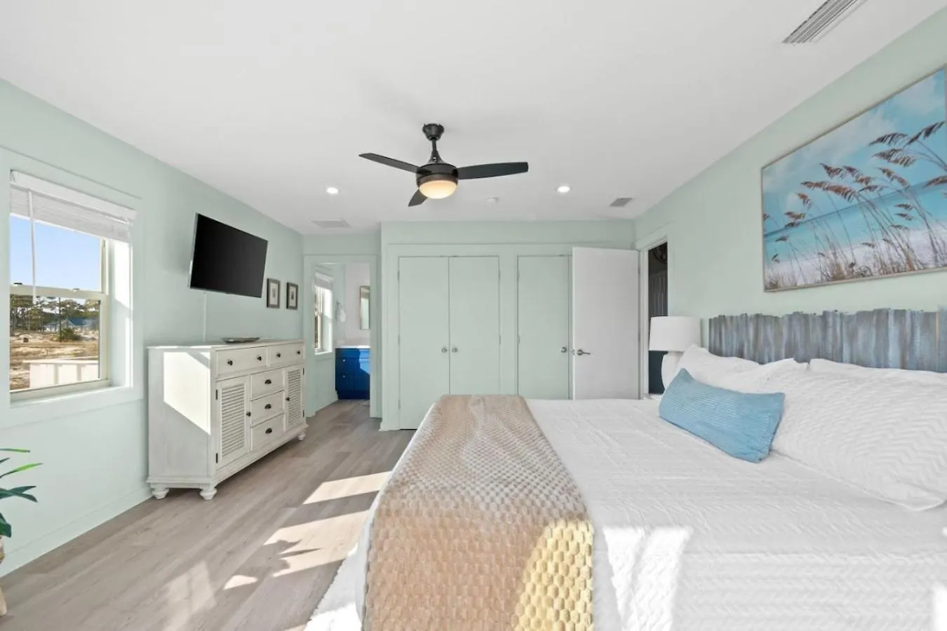 Sandy Dreaming St. George Island