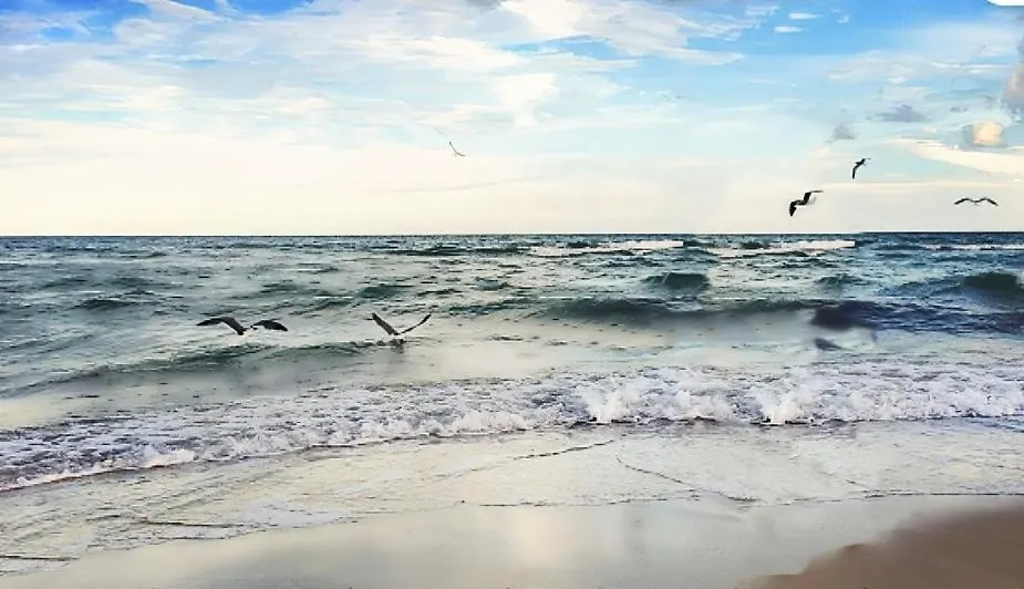 Brisa De Mar * St. George Island