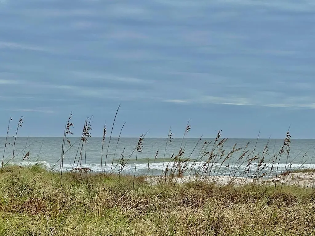 1st Dibs-beachfront-pet Friendly-private Pool-elevator *